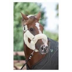 EcoRider Supreme Headcollar -PREMIER EQUINE P SUP HEA eco052 02