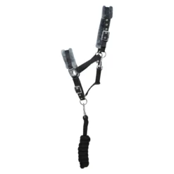 Hy Sport Active Head Collar And Lead Rope In Black