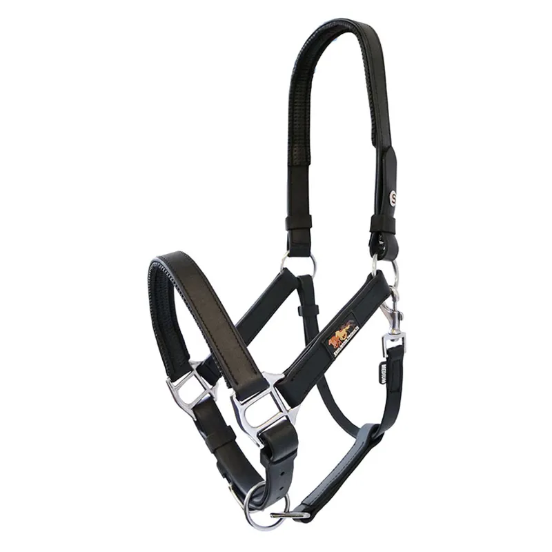 Equilibrium Stellar Head Collar In Black 1 Equilibrium Stellar Head Collar In Black
