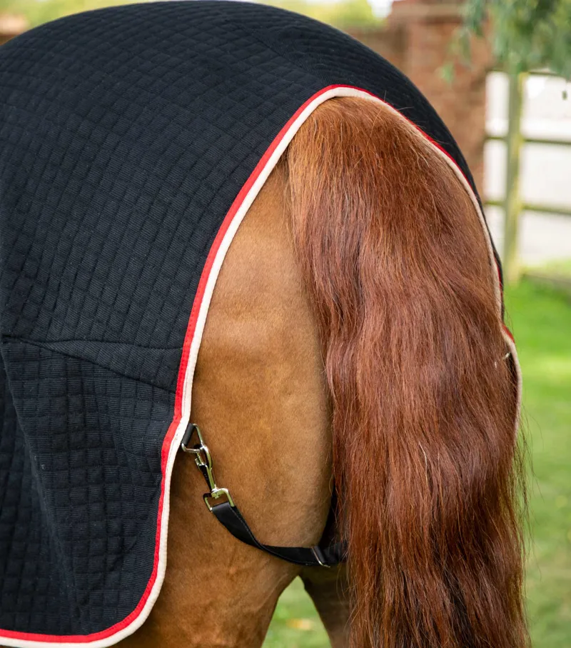 Premier Equine PremTex Horse Cooler Rug Black 5 Premier Equine PremTex Horse Cooler Rug Black - Image 5