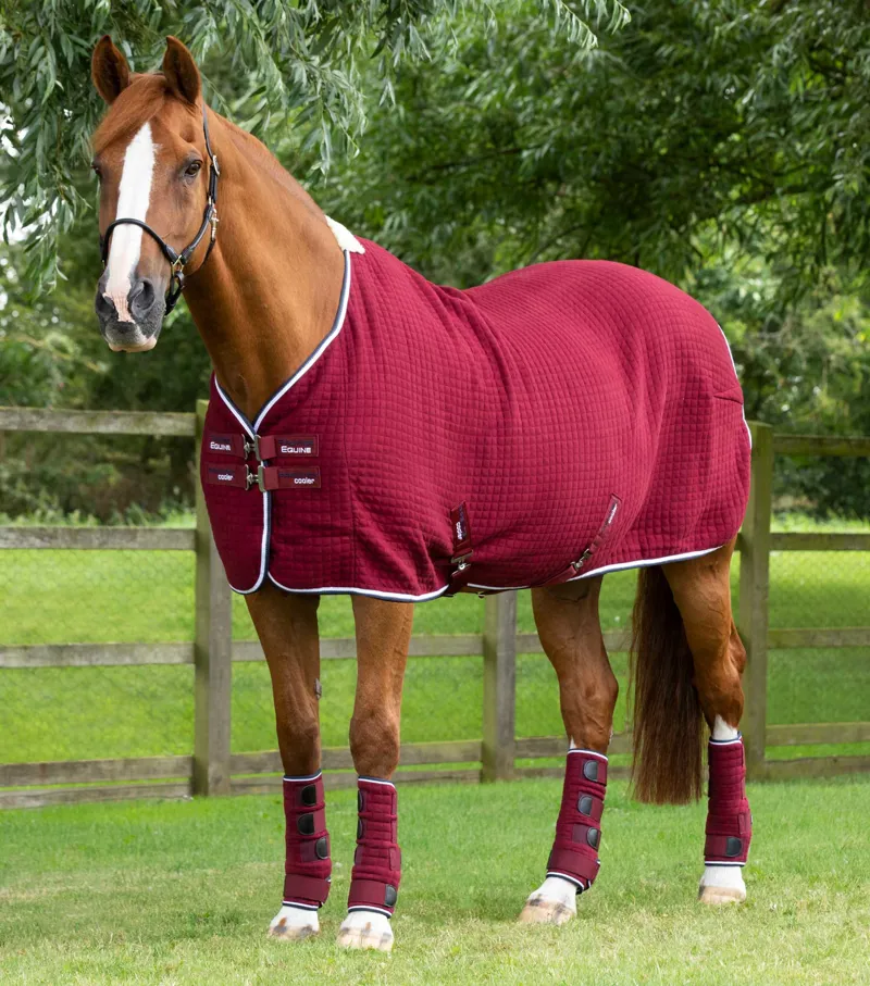 Premier Equine PremTex Horse Cooler Rug Burgundy 1 Premier Equine PremTex Horse Cooler Rug Burgundy