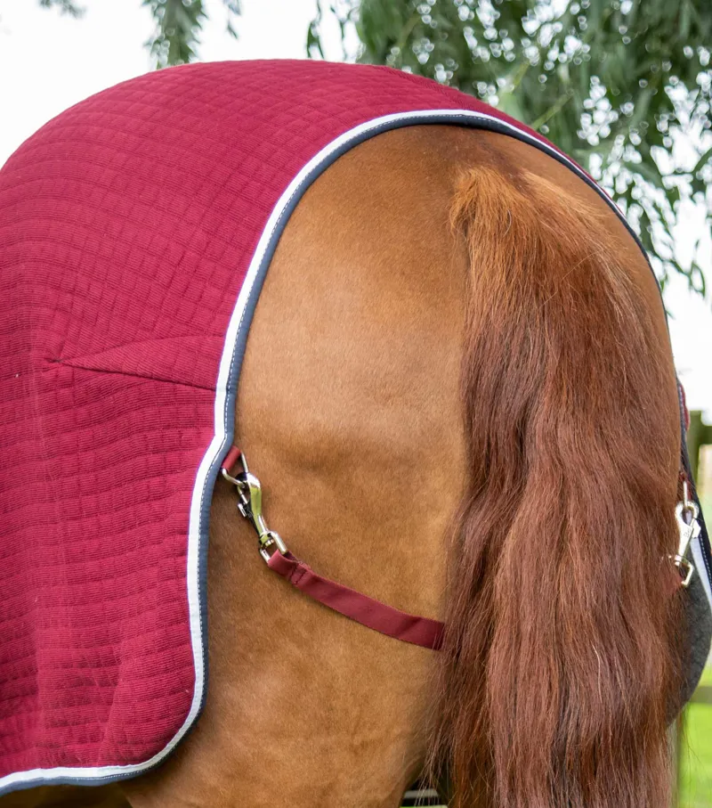 Premier Equine PremTex Horse Cooler Rug Burgundy 5 Premier Equine PremTex Horse Cooler Rug Burgundy - Image 5