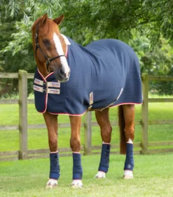 Premier Equine PremTex Horse Cooler Rug Navy