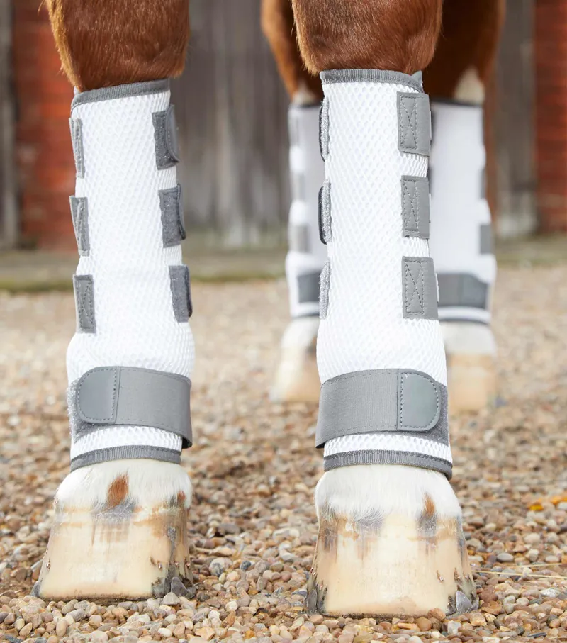 Premier Equine Pro-Tech Bug And Fly Boots White 2 Premier Equine Pro-Tech Bug And Fly Boots White - Image 2