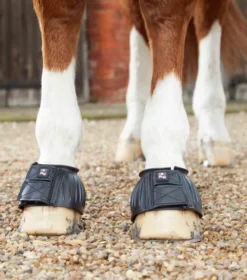 Premier Equine Rubber Bell Over Reach Boots Black -PREMIER EQUINE Rubber Bell Over Reach Boots 4