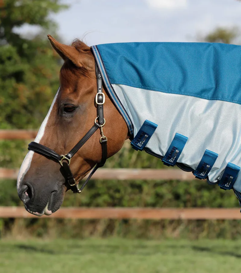 Premier Equine Stay-Dry Mesh Air Fly Rug With Surcingles Blue 2 Premier Equine Stay-Dry Mesh Air Fly Rug With Surcingles Blue - Image 2