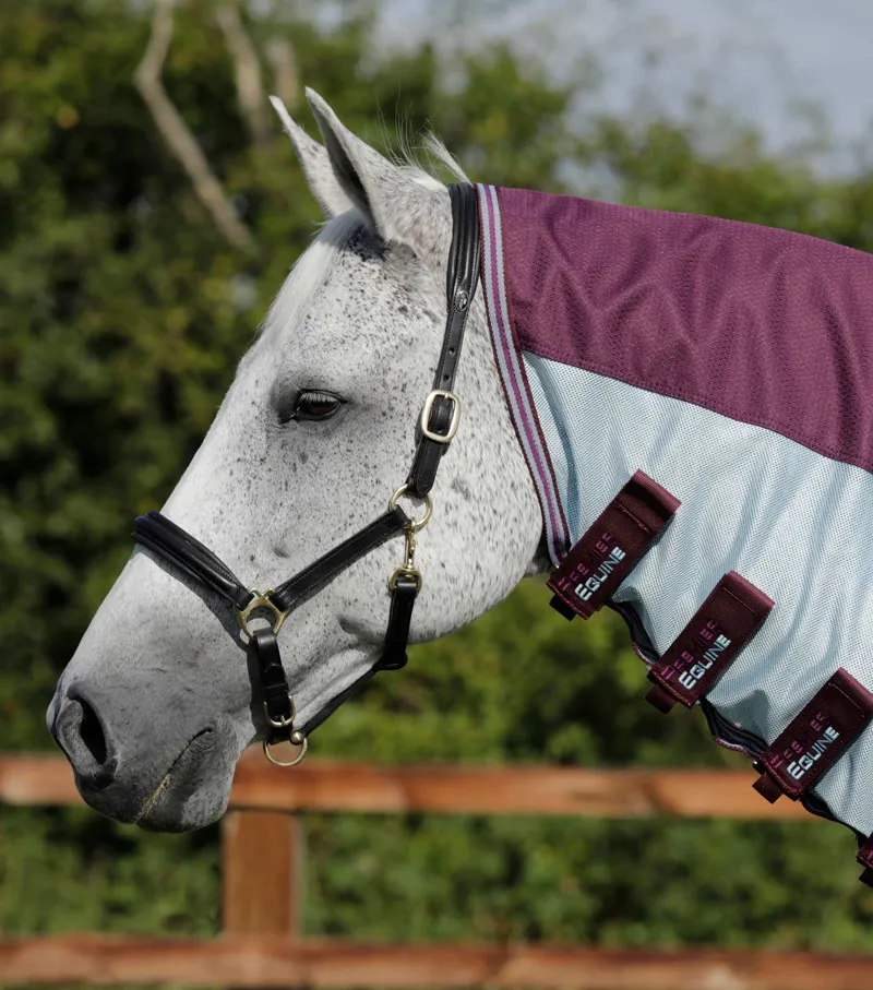Premier Equine Stay-Dry Mesh Air Fly Rug With Surcingles Wine 2 Premier Equine Stay-Dry Mesh Air Fly Rug With Surcingles Wine - Image 2