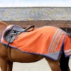 Premier Equine Stratus Horse Exercise Sheet Orange