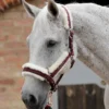 Premier Equine Techno Wool Lined Headcollar Burgundy