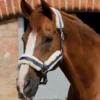 Premier Equine Techno Wool Lined Headcollar Navy