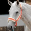 Premier Equine Techno Wool Lined Headcollar Orange