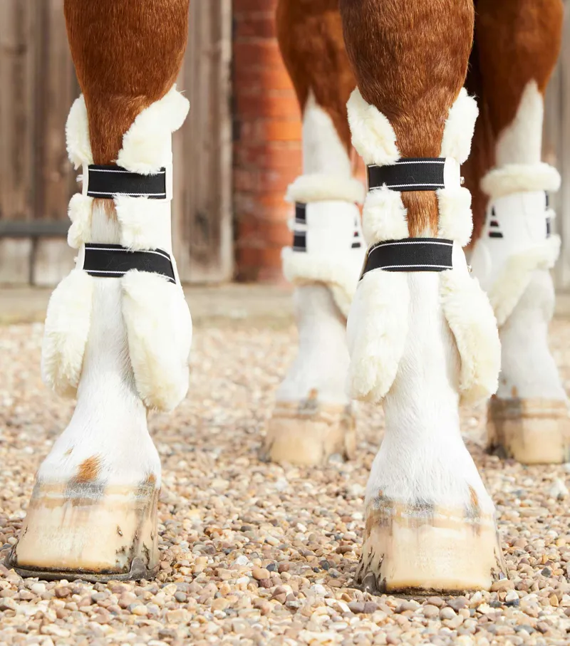 Premier Equine Techno Wool Tendon Boots White 2 Premier Equine Techno Wool Tendon Boots White - Image 2