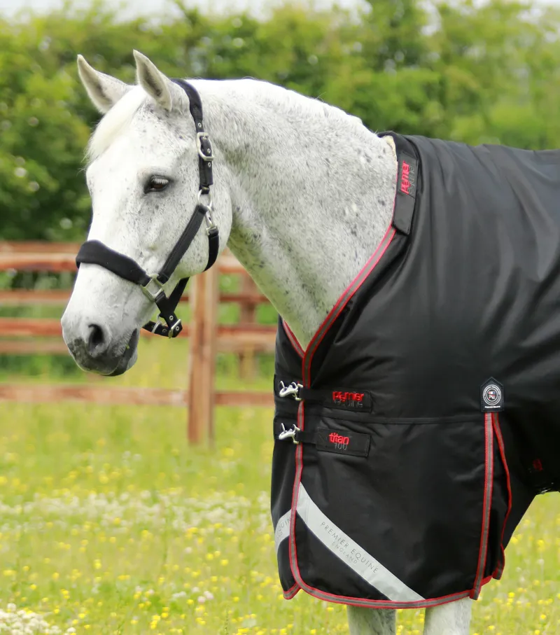 Premier Equine Titan 100g Turnout Rug With Snug-Fit Neck Cover Black 2 Premier Equine Titan 100g Turnout Rug With Snug-Fit Neck Cover Black - Image 2