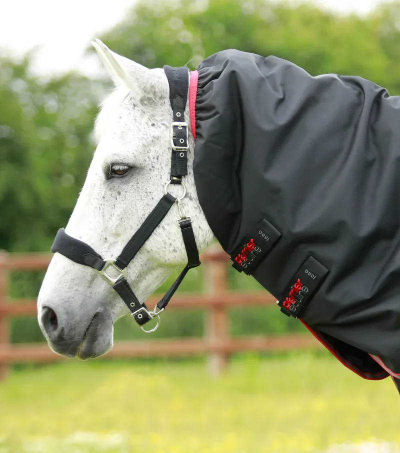 Premier Equine Titan 100g Turnout Rug With Snug-Fit Neck Cover Black 3 Premier Equine Titan 100g Turnout Rug With Snug-Fit Neck Cover Black - Image 3