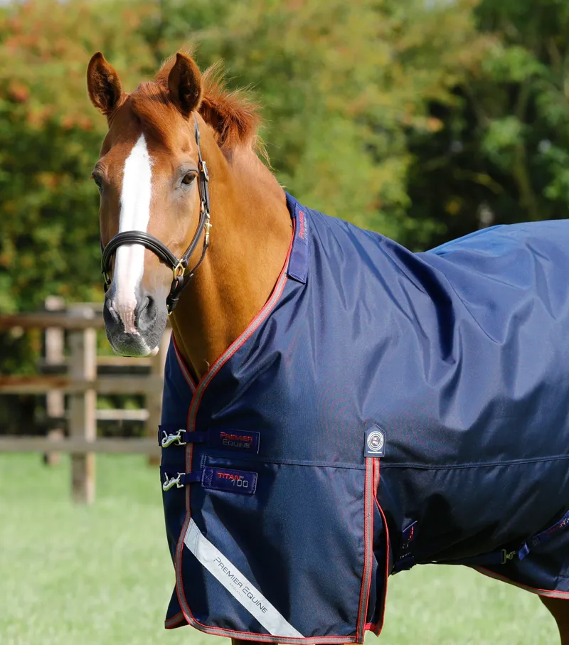 Premier Equine Titan 100g Turnout Rug With Snug-Fit Neck Cover Navy 2 Premier Equine Titan 100g Turnout Rug With Snug-Fit Neck Cover Navy - Image 2