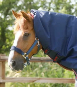 Premier Equine Titan 100g Turnout Rug With Snug-Fit Neck Cover Navy 8 Premier Equine Titan 100g Turnout Rug With Snug-Fit Neck Cover Navy -PREMIER EQUINE Titan 100 Turnout Rug Navy 3
