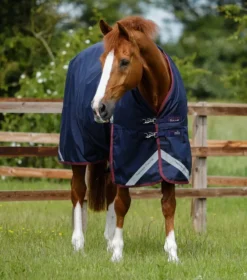 Premier Equine Titan 200g Original Turnout Rug Navy
