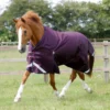 Premier Equine Titan 200g Original Turnout Rug Purple