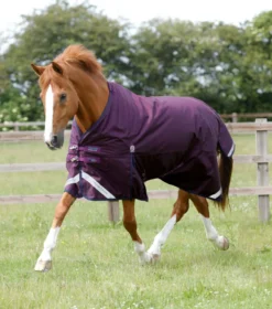 Premier Equine Titan 200g Original Turnout Rug Purple