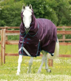 Premier Equine Titan 200g Turnout Rug With Snug-Fit Neck Cover Purple