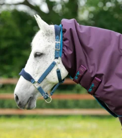 Premier Equine Titan 200g Turnout Rug With Snug-Fit Neck Cover Purple -PREMIER EQUINE Titan 200 Turnout Rug Purple 3