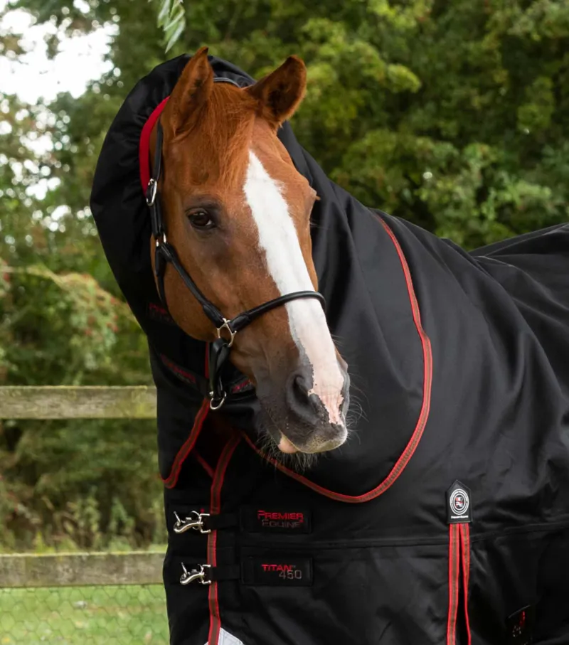 Premier Equine Titan 450g Turnout Rug With Snug-Fit Neck Cover Black 2 Premier Equine Titan 450g Turnout Rug With Snug-Fit Neck Cover Black - Image 2