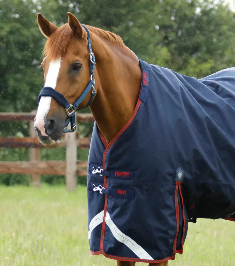 Premier Equine Titan 450g Turnout Rug With Snug-Fit Neck Cover Navy 2 Premier Equine Titan 450g Turnout Rug With Snug-Fit Neck Cover Navy - Image 2