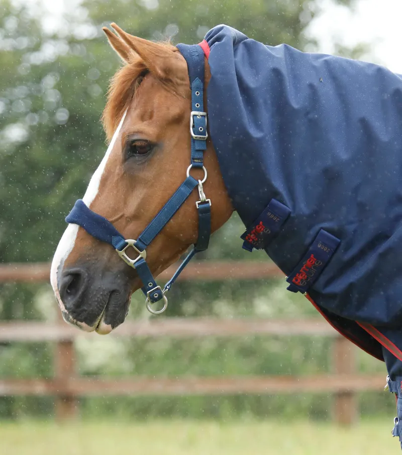 Premier Equine Titan 450g Turnout Rug With Snug-Fit Neck Cover Navy 3 Premier Equine Titan 450g Turnout Rug With Snug-Fit Neck Cover Navy - Image 3