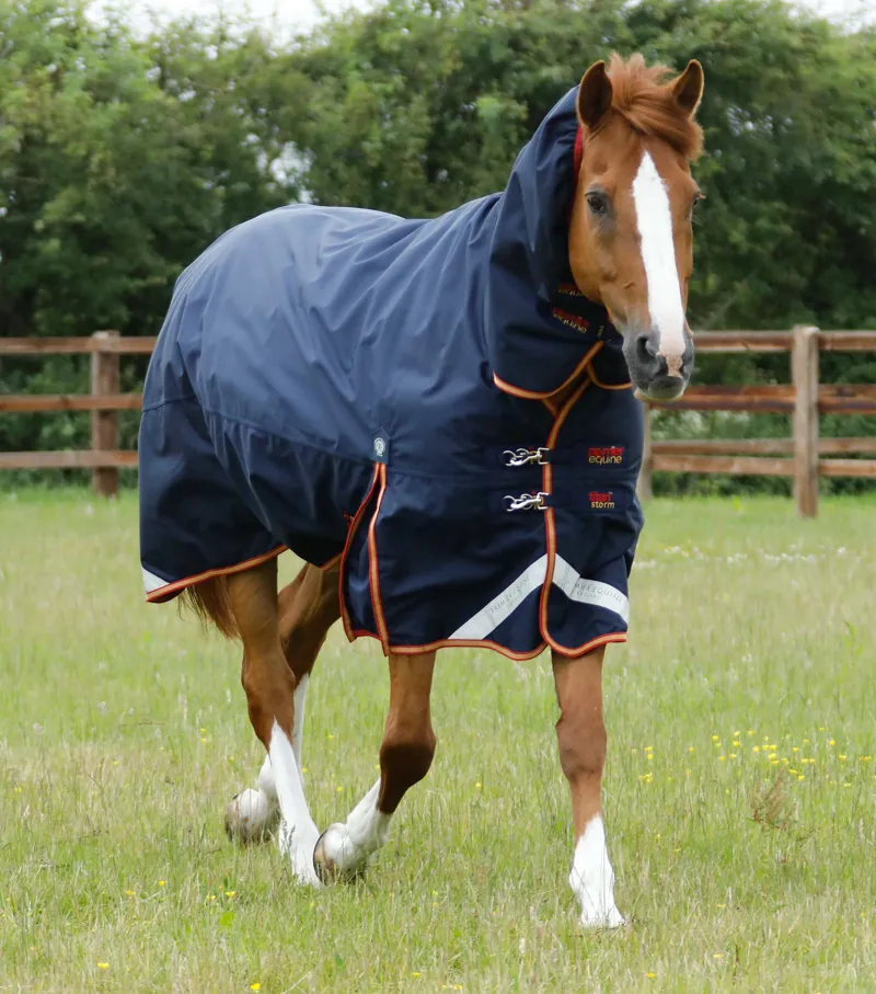 Premier Equine Titan Storm 450g Combo Turnout Rug With Snug-Fit Neck Navy 1 Premier Equine Titan Storm 450g Combo Turnout Rug With Snug-Fit Neck Navy