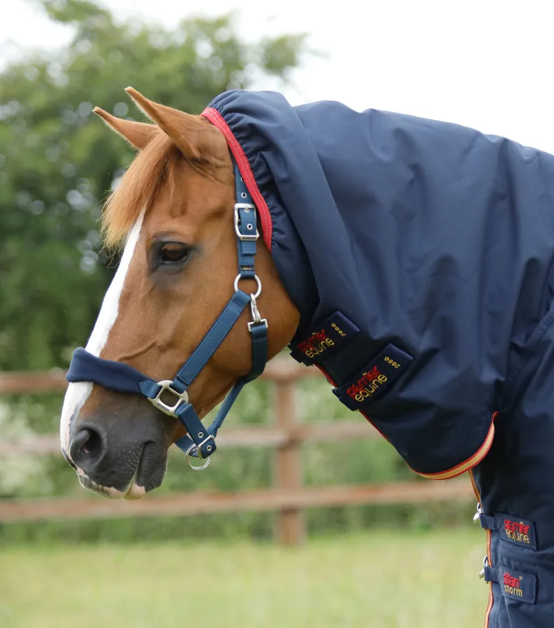 Premier Equine Titan Storm 450g Combo Turnout Rug With Snug-Fit Neck Navy 2 Premier Equine Titan Storm 450g Combo Turnout Rug With Snug-Fit Neck Navy - Image 2