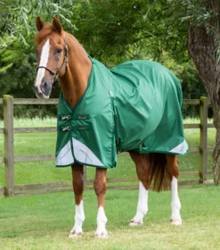 Premier Equine Akoni 0g Original Turnout Rug Green