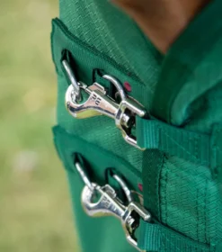 Premier Equine Akoni 0g Original Turnout Rug Green -PREMIER EQUINE akoni 0g original green 3