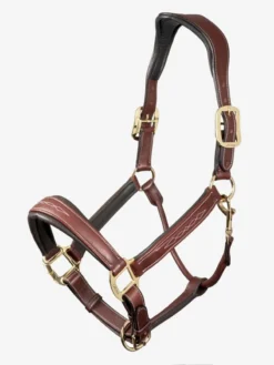 LemIeux Stitched Leather Headcollar Brown