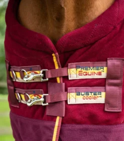Premier Equine Buster Fleece Cooler Rug - Continental Edition Burgundy -PREMIER EQUINE buster fleece cooler continental burgundy 3