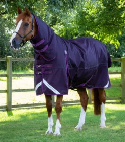 Premier Equine Buster Storm 420g Combo Turnout Rug With Classic Neck Purple
