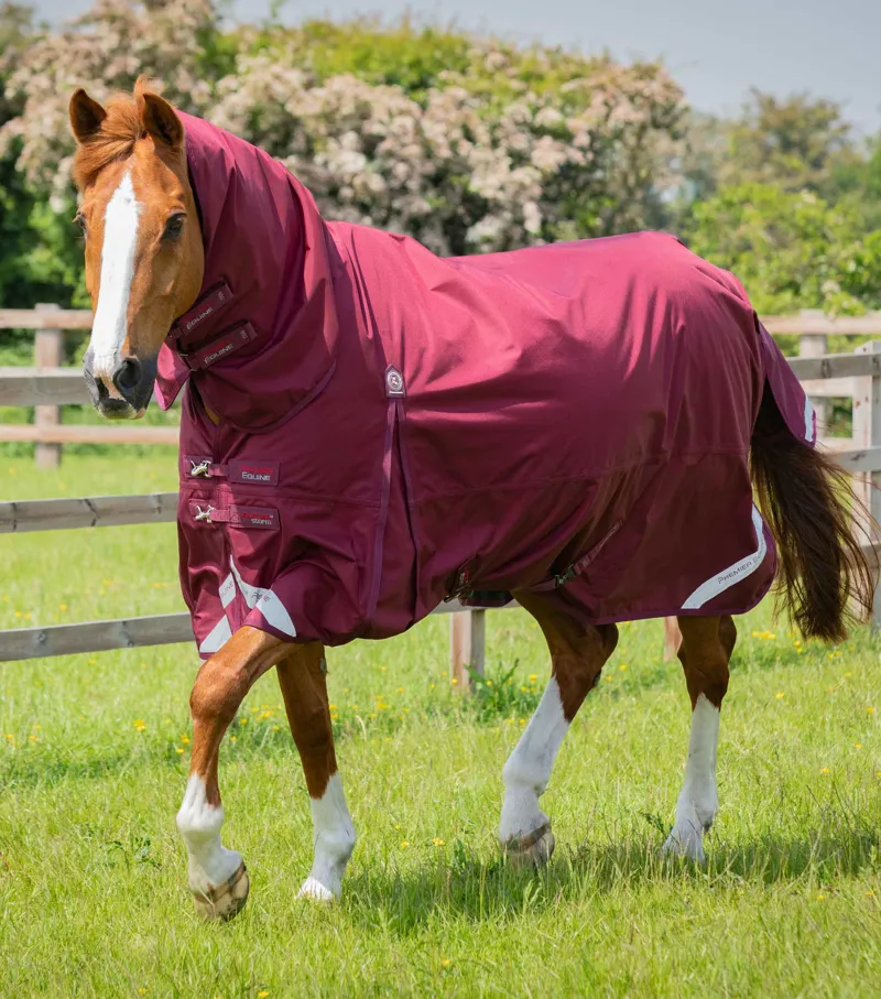 Premier Equine Buster Storm 90g Combo Turnout Rug With Classic Neck Burgundy 1 Premier Equine Buster Storm 90g Combo Turnout Rug With Classic Neck Burgundy