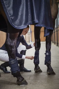 Eskadron Platinum Pure Softshell Tendon Boots Navy -PREMIER EQUINE dc04c820 67d8 4352 b6f7 10d581dcc1c4