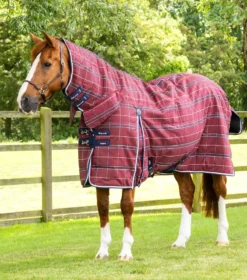 Premier Equine Domus 200g Stable Rug Burgundy