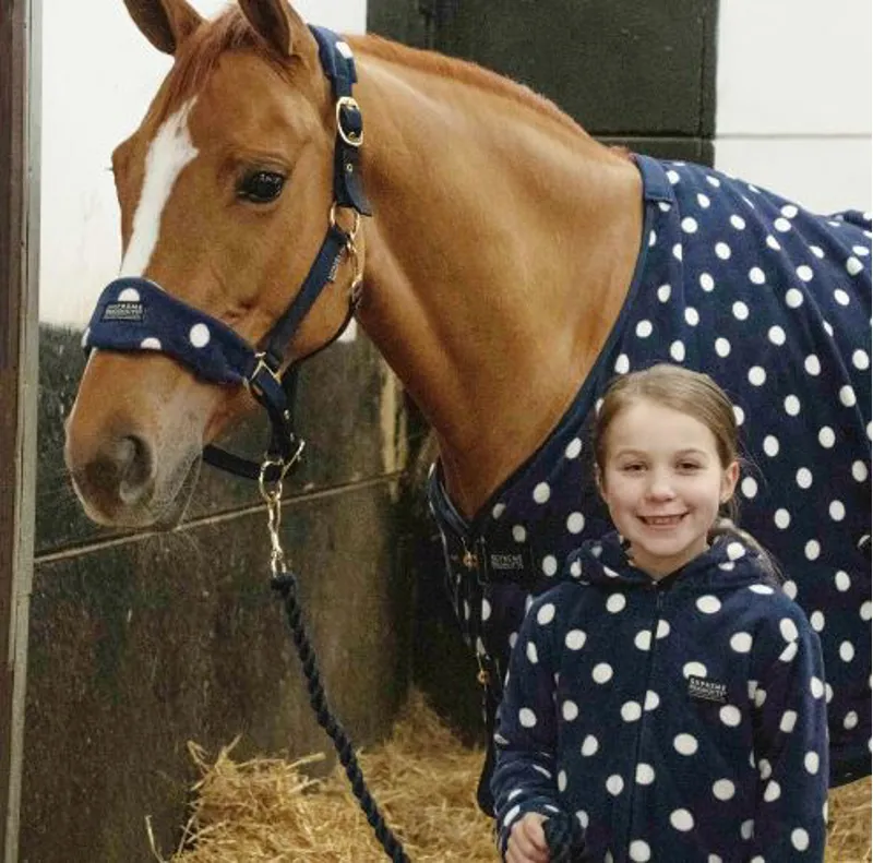 Supreme Products Dotty Fleece Head Collar And Lead Rope In Navy 1 Supreme Products Dotty Fleece Head Collar And Lead Rope In Navy