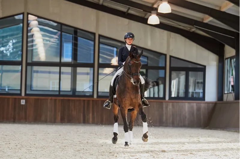 Eskadron Platinum Pure Softshell Tendon Boots White 1 Eskadron Platinum Pure Softshell Tendon Boots White