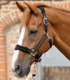 Premier Equine Fleece Padded Horse Headcollar Black