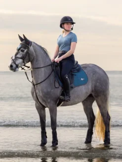 LeMieux Earth Fly Hood Ocean 6 LeMieux Earth Fly Hood Ocean -PREMIER EQUINE it01277 lifestyle earthclosecontactsquare ocean 2 3x4 1