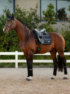 LeMieux Adour Polo Bandages Black 7 LeMieux Adour Polo Bandages Black -PREMIER EQUINE it01402 lifestyle adourdressagesquare black 1 py