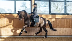 LeMieux Crystal Suede Dressage Pad Black -PREMIER EQUINE it03514 lifestyle crystalsuededressagepad black 1 copy