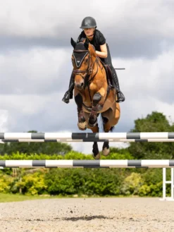 LeMieux Puissance Fly Hood Black -PREMIER EQUINE it03804 lifestyle puissanceflyhood black 2 copy