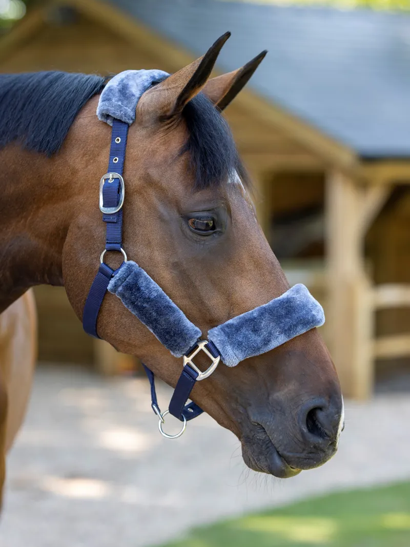 LeMieux Comfort Headcollar Navy 2 LeMieux Comfort Headcollar Navy - Image 2