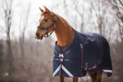 LeMieux Kudos Turnout Rug 50g Navy -PREMIER EQUINE lm kudosturnout2 lr