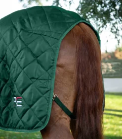 Premier Equine Tuscan Stable Rug 200g Green -PREMIER EQUINE tuscan 200g stable rug green 6