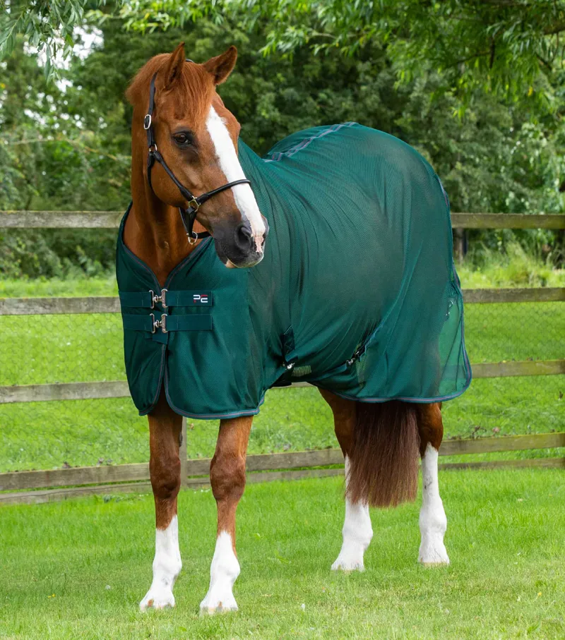 Premier Equine Ventoso Mesh Cooler Rug Green 1 Premier Equine Ventoso Mesh Cooler Rug Green